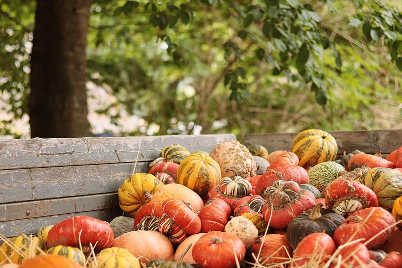 Farm-to-Table Dining